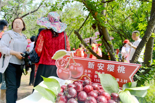 兴业银行怎么办理协商还款流程详解