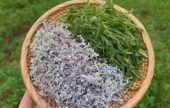 莓茶长期饮用的隐形危害：深入研究其副作用与风险