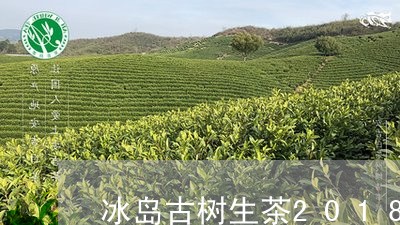 冰岛古树生茶抖音