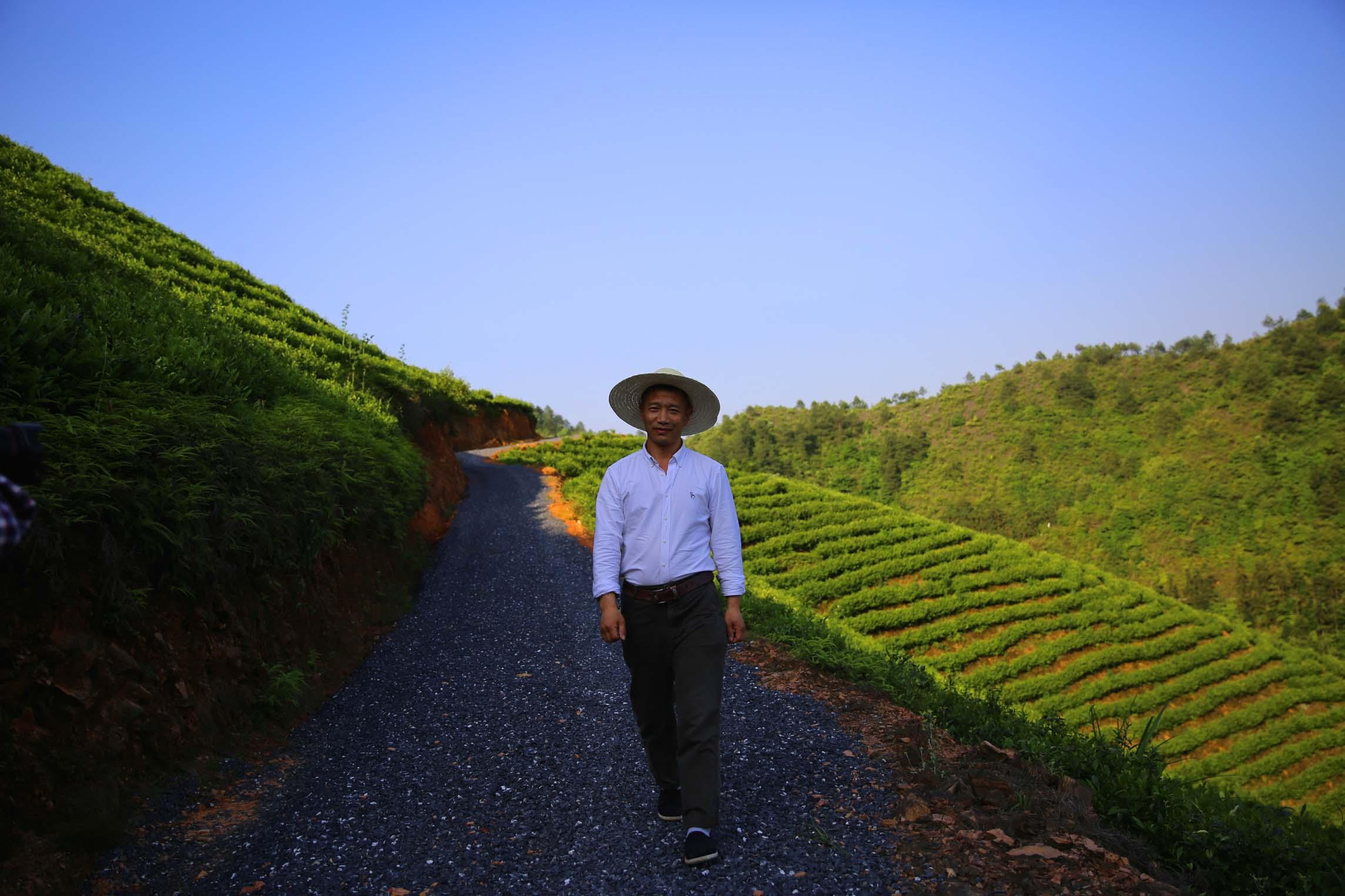 探索嘉兴茶叶：品种、产地、制作工艺与品尝技巧的全面指南