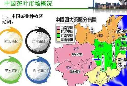 嘉兴茶叶场排名：前十名、榜首及详细位置信息