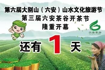 茶叶催芽过程中的挑战：如何应对采茶困难？