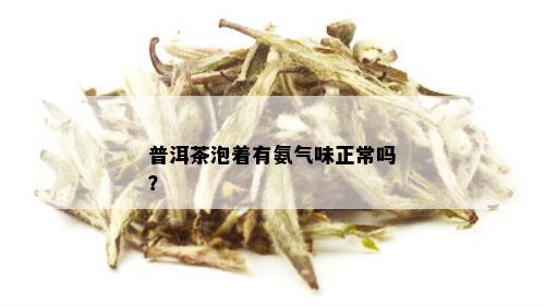 普洱茶有氨味-普洱茶有氨味正常吗