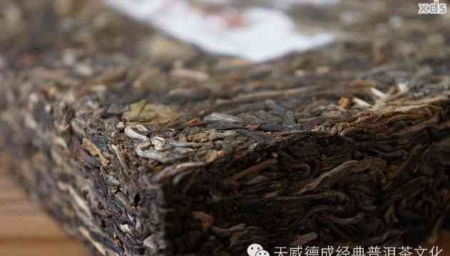 普洱茶紧压茶的品质特征包括：色泽、香气、口感、色和叶底等。