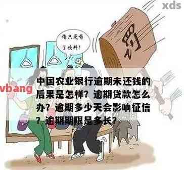 欠农业银行贷款几十万怎么办如何解决