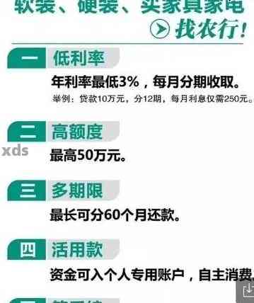 欠农业银行贷款几十万怎么办如何解决