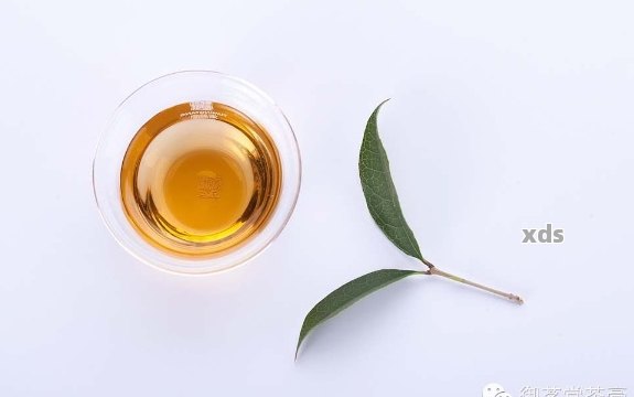 普洱茶香与油点：一种独特的茶油搭配体验