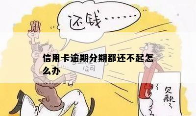 逾期不能分期怎么办解决方法