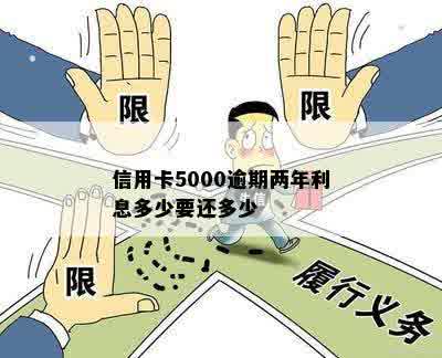 信用卡5000逾期两年罚息多少怎么处理