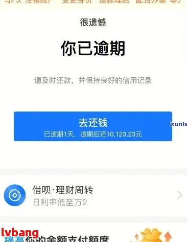 支付宝借呗逾期5万的后果及解决方法