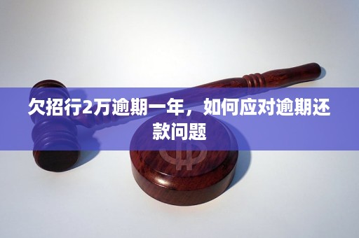 招商银行欠2万5年没还