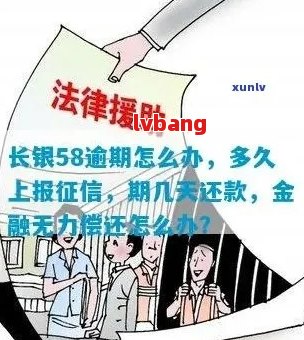 长银58金融逾期有宽限期吗需要了解的事项