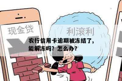 农业银行逾期被冻结怎么办解冻方法