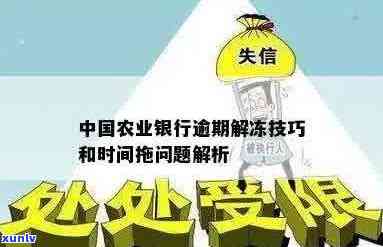 农业银行逾期被冻结怎么办解冻方法