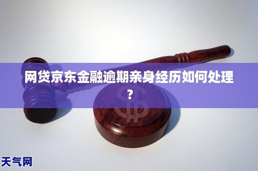 京东网贷逾期如何处理