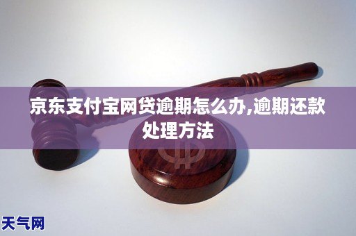 京东网贷逾期如何处理