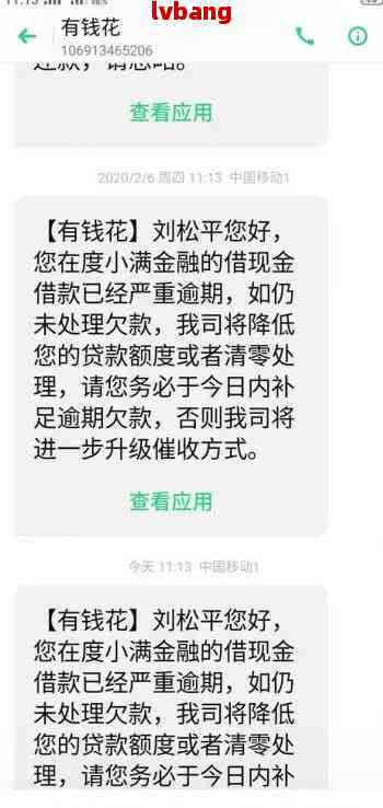 金钱花协商还款怎么还