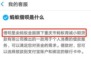 花呗是上海消费金融公司吗