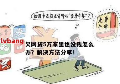 网贷了5万还不上怎么办