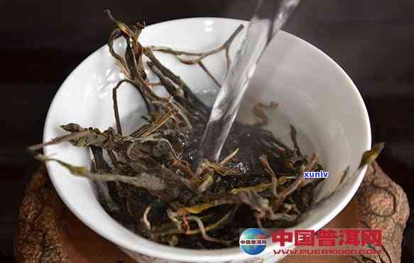 探索普洱橡筋茶：一款独特的云南名茶解读与品鉴