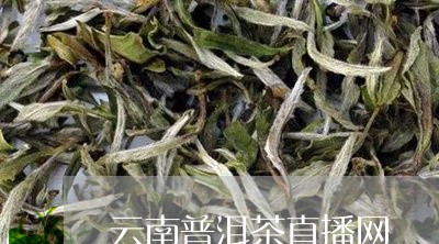 普洱茶直播基地：云南首选，了解详情及平台