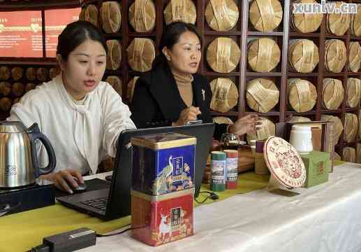 普洱茶直播基地：云南首选，了解详情及平台