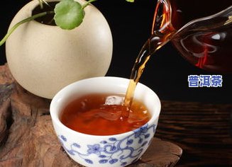 普洱茶：一种新型胃酸缓解策略？