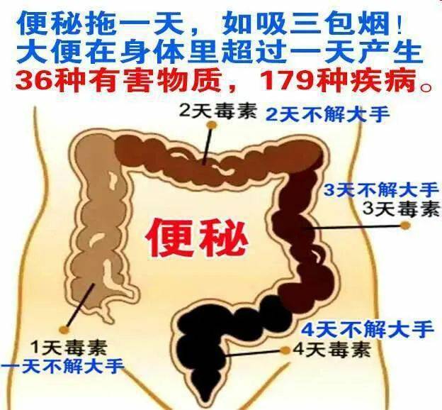 肠胃不适？尝试这些茶类，缓解症状并改善消化！