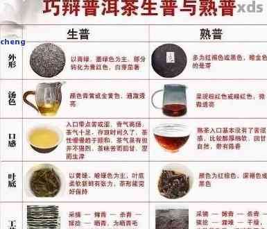 广东话普洱茶的定义与特点：探索广东人对普洱茶的理解与喜好