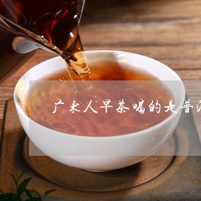 广东话说普洱茶