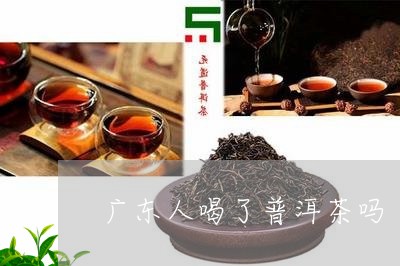 广东话说普洱茶