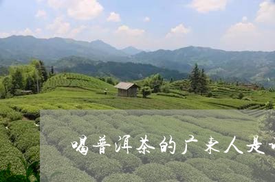 广东话说普洱茶