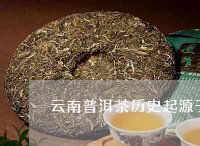 石头山明清春尖普洱茶：一款承载历与传统的高品质茶叶