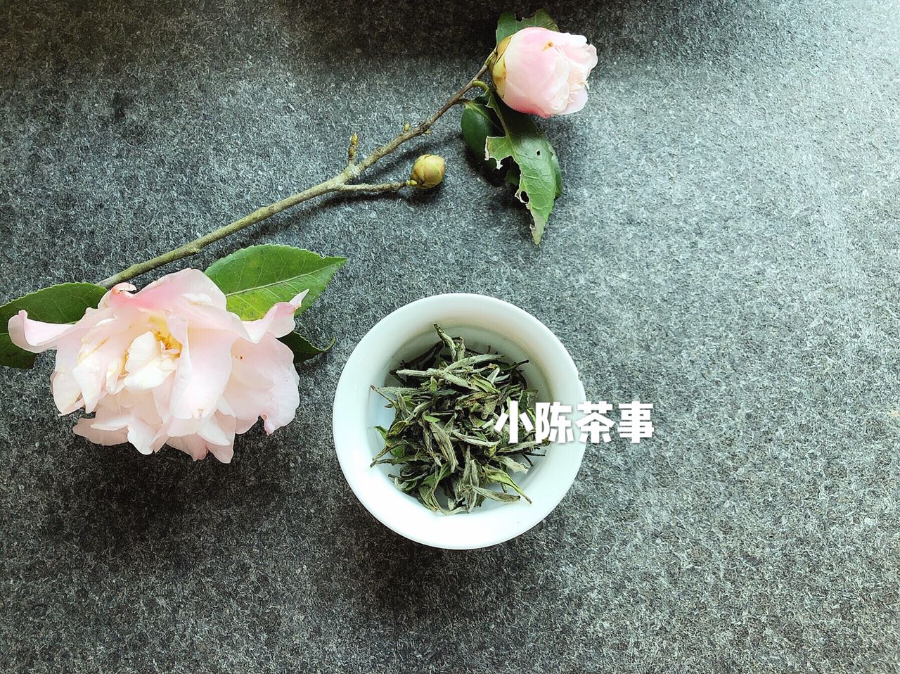 普洱茶饼能放冰箱保存吩