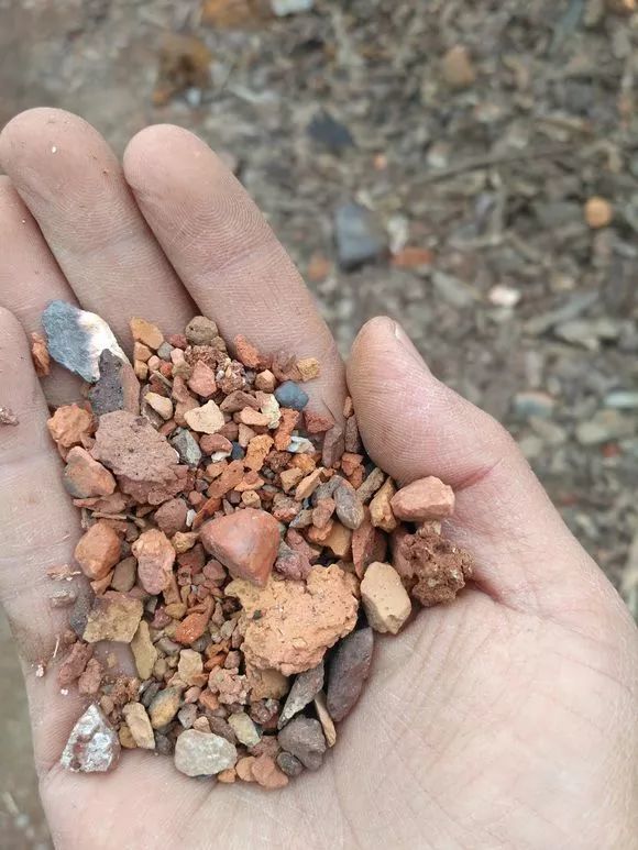 赤玉土与火山石哪个更好