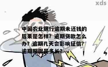 农业银行利息逾期4天如何处理