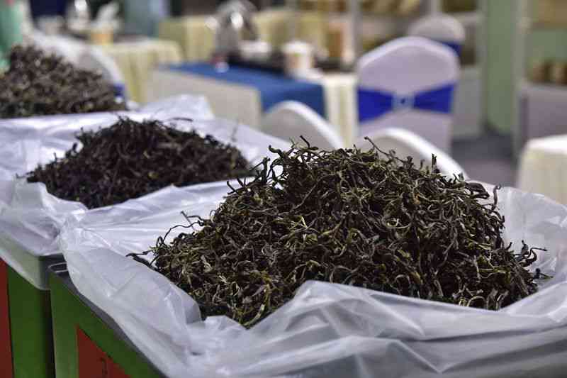 2005年冰岛母树茶的价格及其品质特点分析