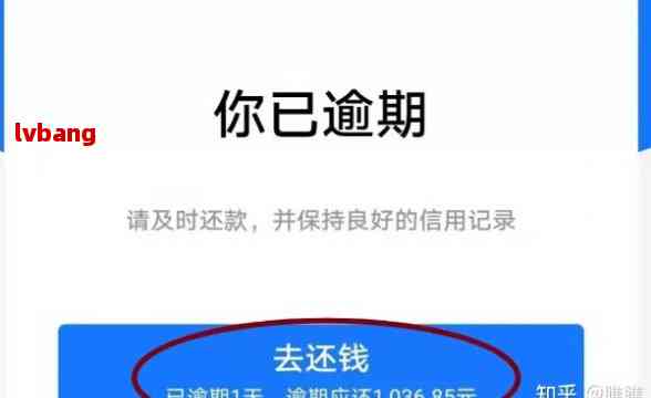 支付宝借呗逾期怎么还全款