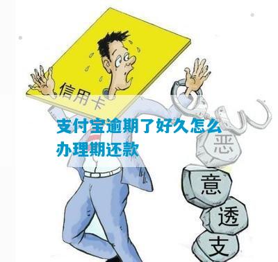 支付宝逾期几年了怎么办还款呢