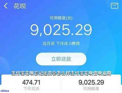 花呗一万块钱逾期了4个月怎么办