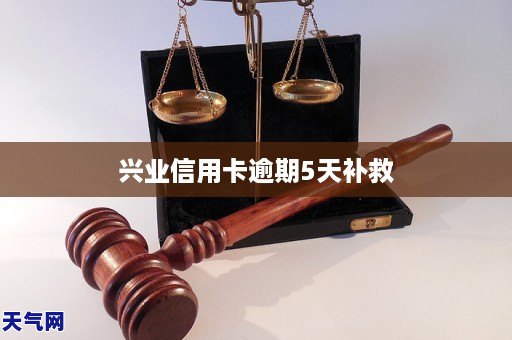 兴业信用卡逾期5天应该怎么补救