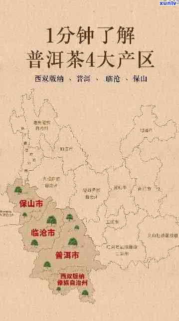 探寻世界普洱茶之源：中国十大茶叶产地深度解析