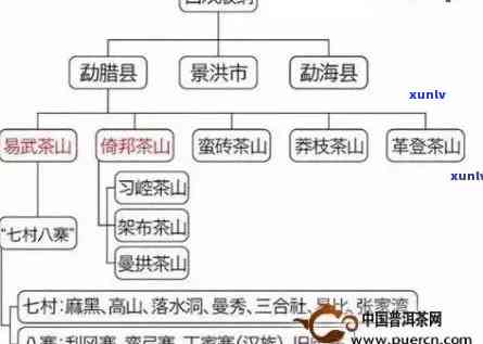 新 老班章普洱茶的独特风味及其口感魅力探究