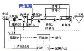 茶叶生产工序步骤及其工艺流程