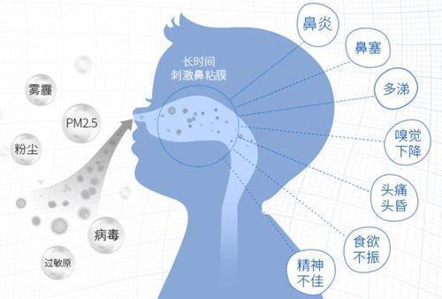 茶叶过敏性鼻炎：原因、影响与缓解方法