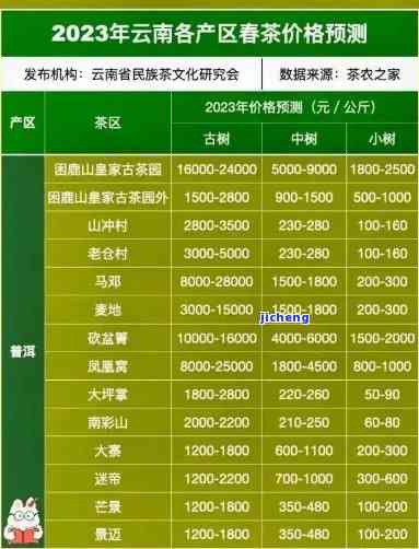 2013年普洱茶行业十大榜单：品质与口碑并存的顶尖选择