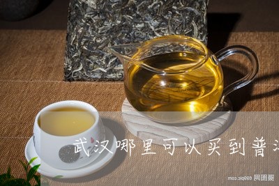 武汉可靠普洱茶