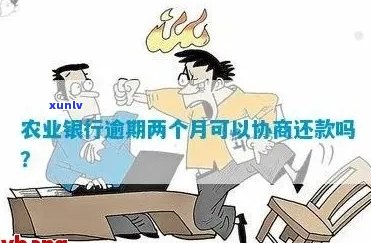 农业银行协商免息还款方案具体操作步骤