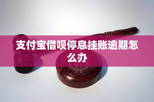 支付宝逾期怎么办理停息挂账手续