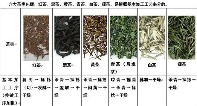 茶的种类繁多，如何辨别初见茶？了解其特点与制作工艺！